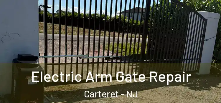 Electric Arm Gate Repair Carteret - NJ