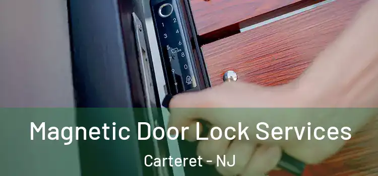 Magnetic Door Lock Services Carteret - NJ